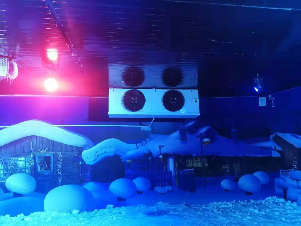上海歡樂谷冰雪世界低溫冷庫工程改造項(xiàng)目
