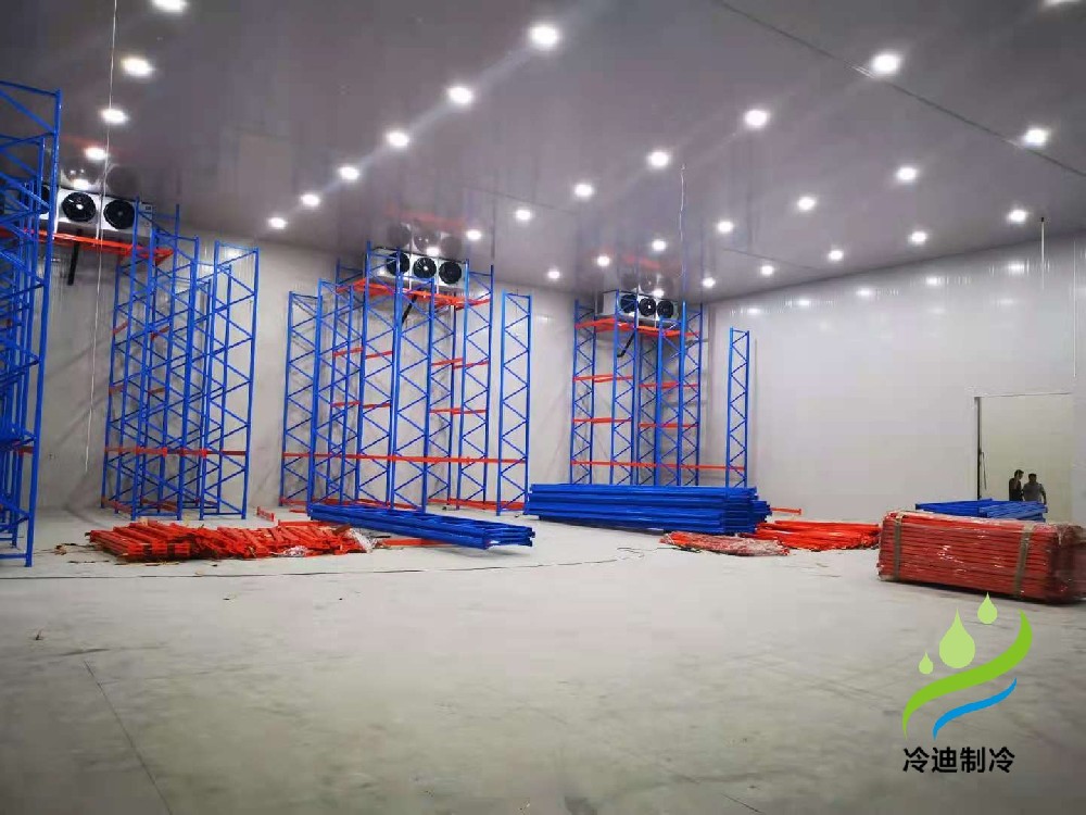 浙江零下35度海鮮水產(chǎn)小型速凍冷庫安裝方案