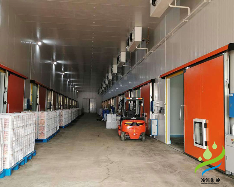 氣調(diào)保鮮冷庫