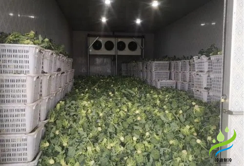 西蘭花保鮮冷庫(kù)