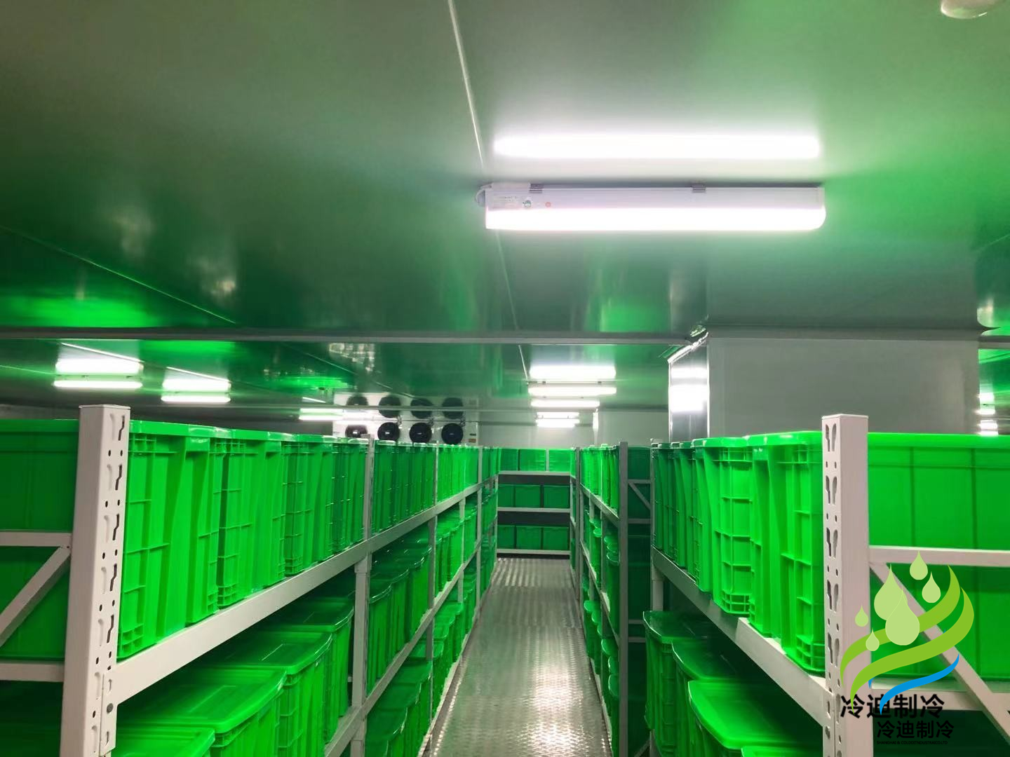 醫(yī)藥冷庫造價