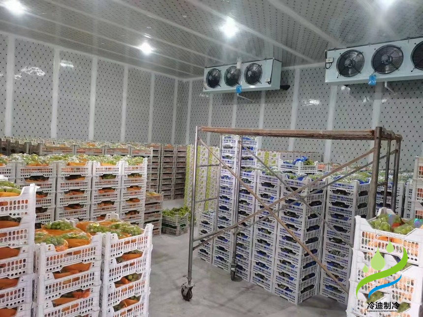 水果氣調(diào)冷庫(kù)造價(jià)