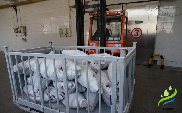 海鮮金槍魚超低溫冷庫