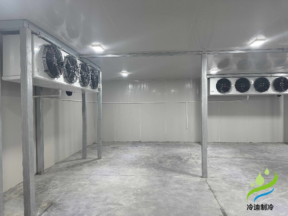 上海200立方醫(yī)藥冷庫建造工程案例