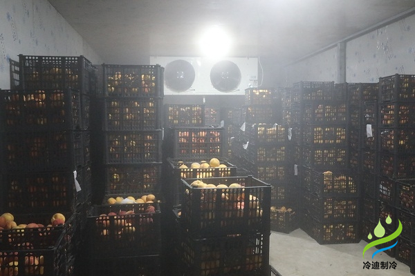 桃子保鮮冷庫(kù)