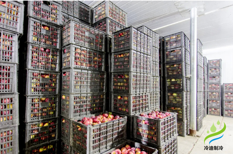 水果【蘋果保鮮冷庫】1.jpg