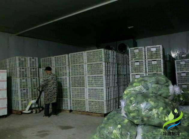 3000果蔬保鮮冷庫(kù)造價(jià)