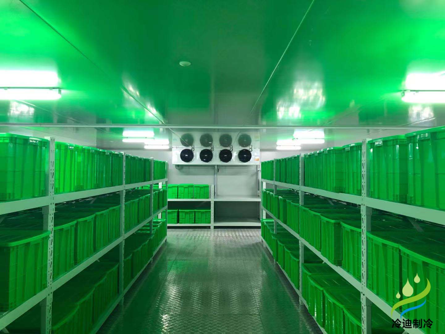 試劑疫苗醫(yī)藥冷庫