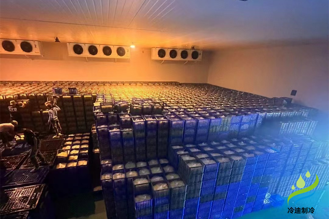 雞蛋保鮮冷庫造價(jià)