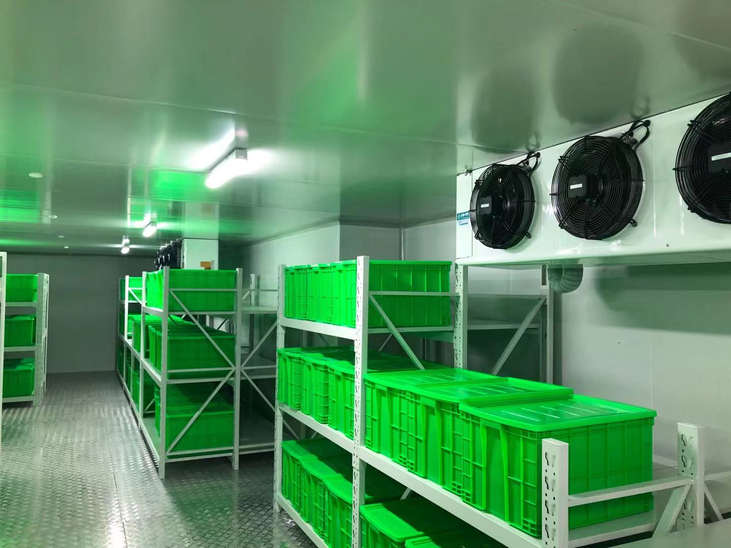 兆維生物醫(yī)藥冷庫