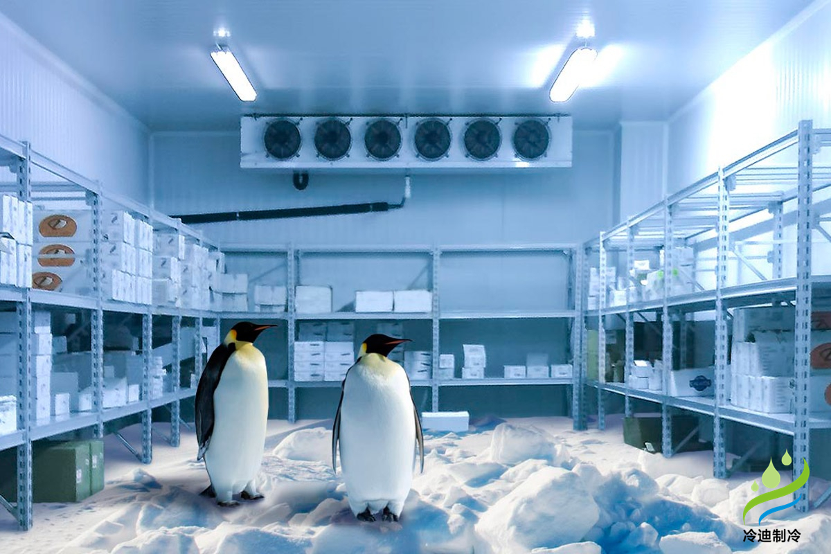 速凍冷庫造價(jià)