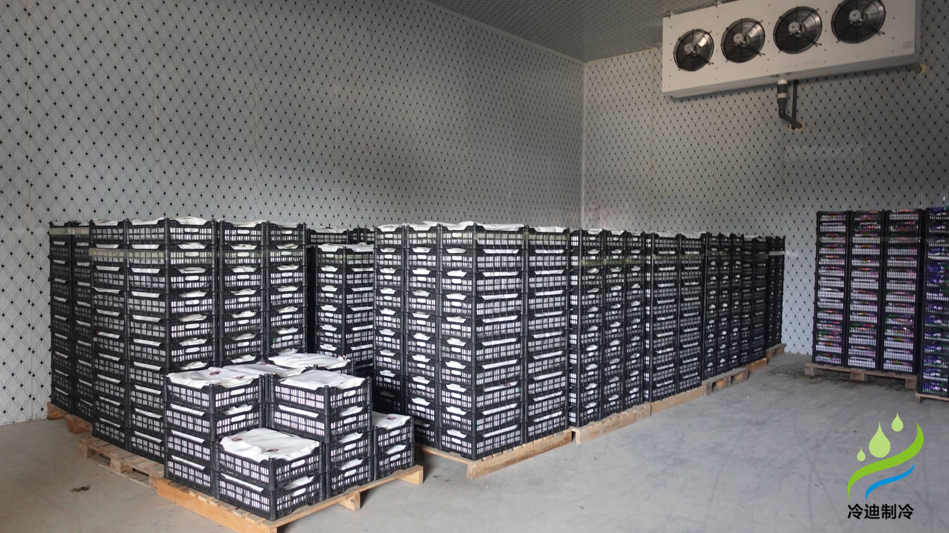 水果葡萄保鮮冷庫