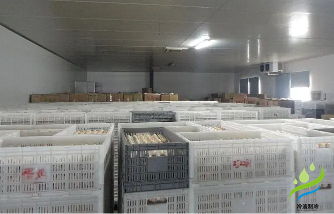 雞蛋冷庫1.jpg